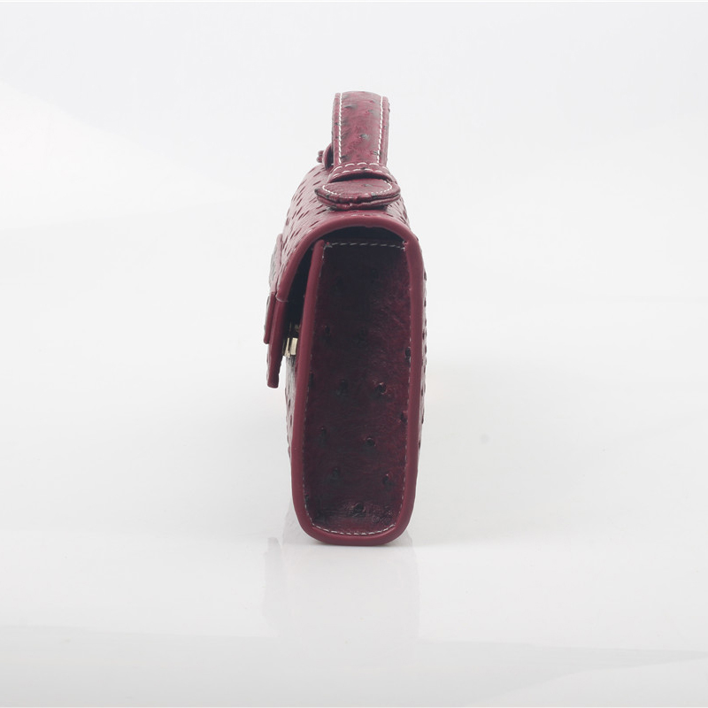 Dubai New Women Ostrich Patter - Women Bags Dubai recension och pris