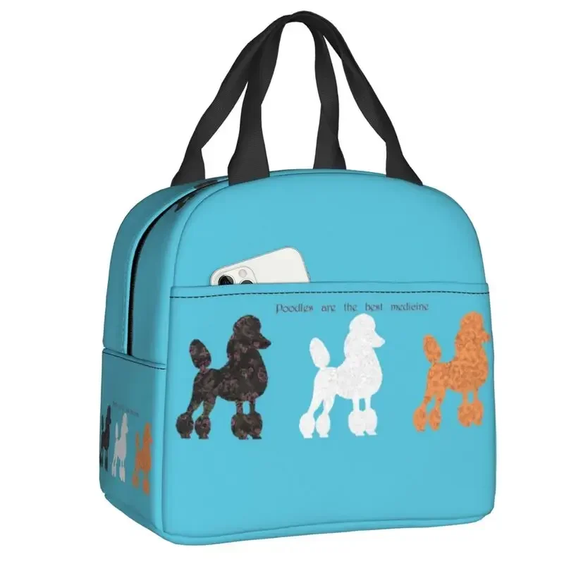 France Standard Poodle Insulat - Women'S Best Bags For Work recension och pris